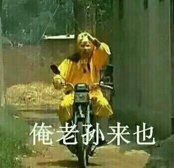 孙悟空吃瓜表情包